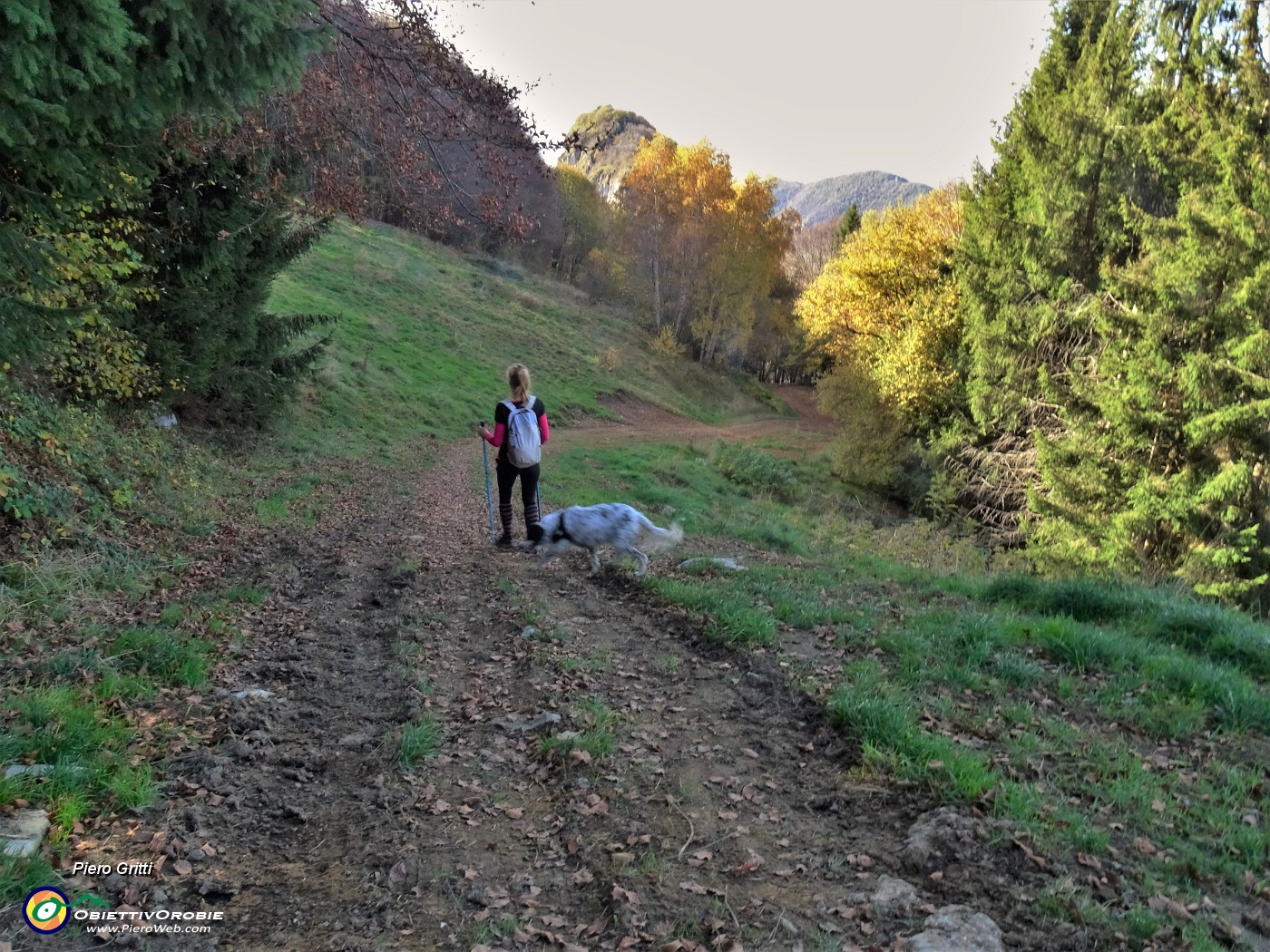 38 Scendiamo seguendo la linea dalla bidonvia Aviatico-Monte Poieto.JPG